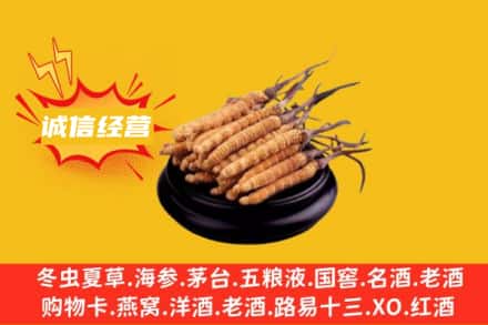 昆明市回收冬虫夏草